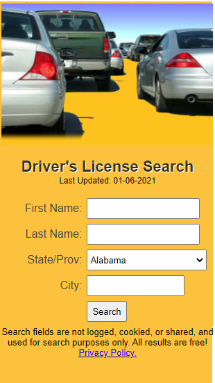Check Driver License Online